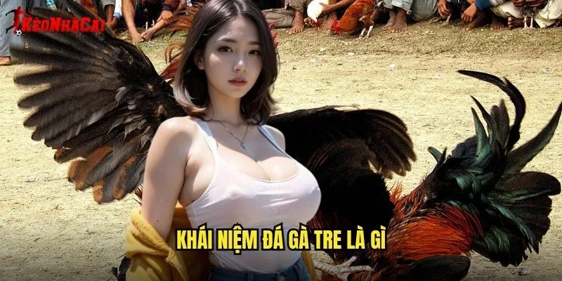 Đá Gà Tre Dân Dã - Truyền Thống Tại Kèo Nhà Cái 1 Khái Niệm Đá Gà Tre Là Gì