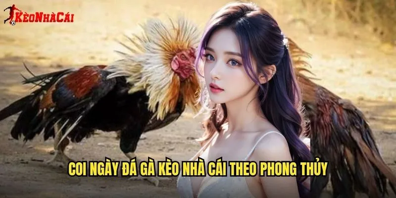 Coi Ngày Đá Gà Kèo Nhà Cái - Chọn Ngày Tốt Cược Gà May Mắn 1 Coi ngày đá gà kèo nhà cái theo phong thủy