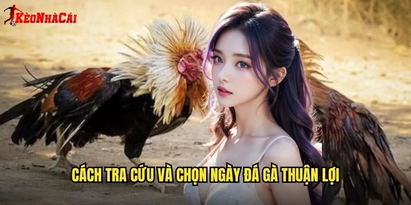 Coi Ngày Đá Gà Kèo Nhà Cái - Chọn Ngày Tốt Cược Gà May Mắn 2 Cách tra cứu và chọn ngày đá gà thuận lợi