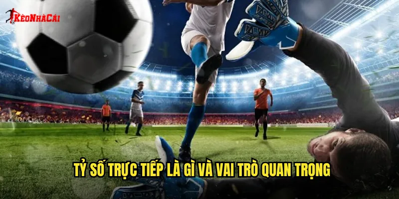 Tỷ Số Trực Tiếp Kèo Nhà Cái: Cập Nhật Kết Quả Nhanh Chóng Chính Xác 1 Tỷ số trực tiếp là gì và vai trò quan trọng