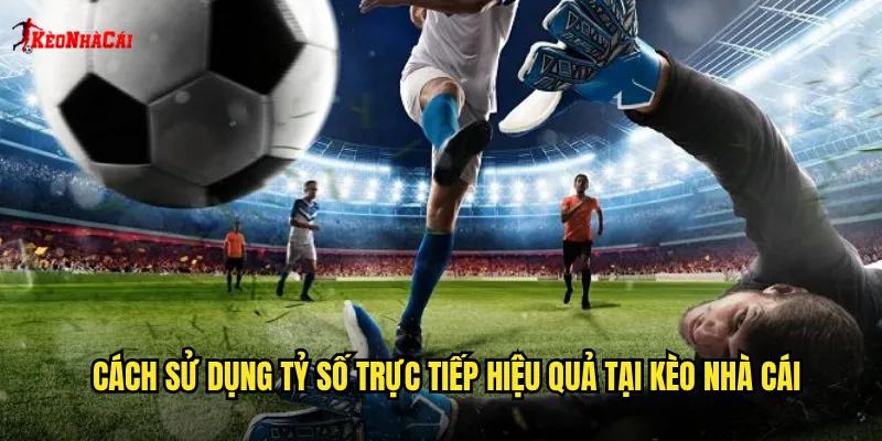 Tỷ Số Trực Tiếp Kèo Nhà Cái: Cập Nhật Kết Quả Nhanh Chóng Chính Xác 2 Cách sử dụng tỷ số trực tiếp hiệu quả tại kèo nhà cái