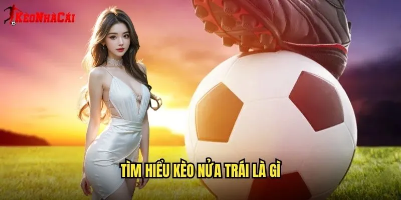 Kèo 1/2 Phổ Biến - Giải Mã Cùng Kèo Nhà Cái 1 Tìm Hiểu Kèo Nửa Trái Là Gì